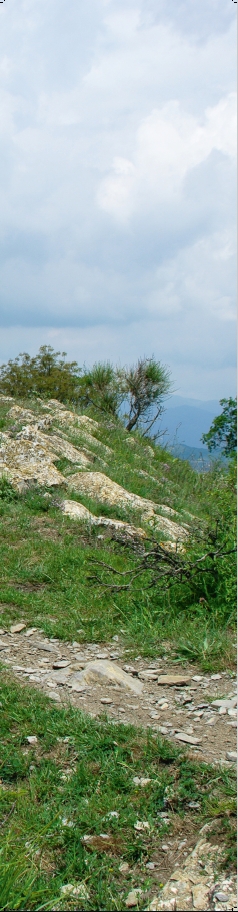 TRAVEL 01 2020 ICU Image TRAVEL 01 2020 ICU Image