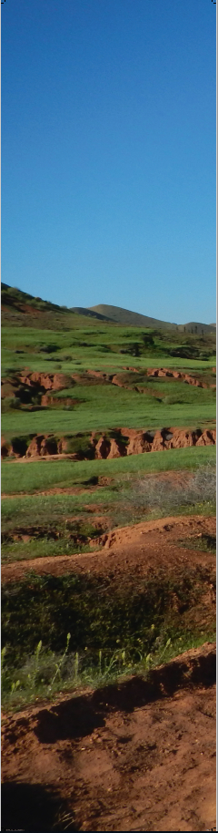 TRAVEL 04 2020 ICU Image TRAVEL 04 2020 ICU Image