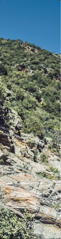 ENDURO 02 2020 ICU Image ENDURO 02 2020 ICU Image